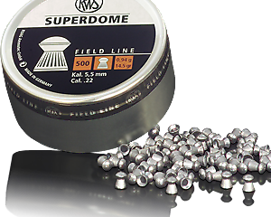 RWS Super Dome .22 pellets (500)